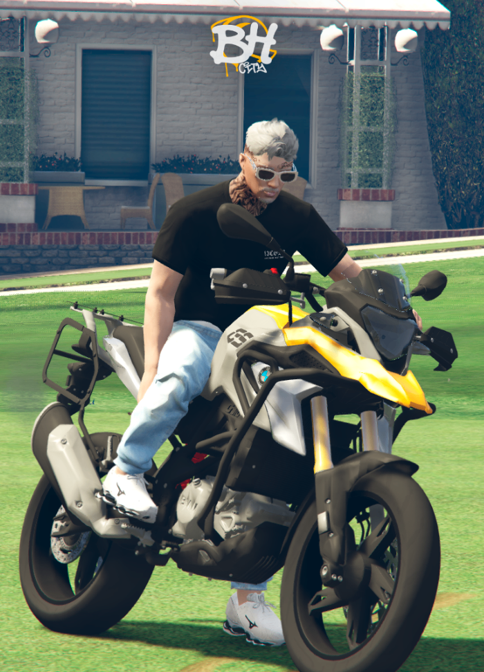 BMW GS 310