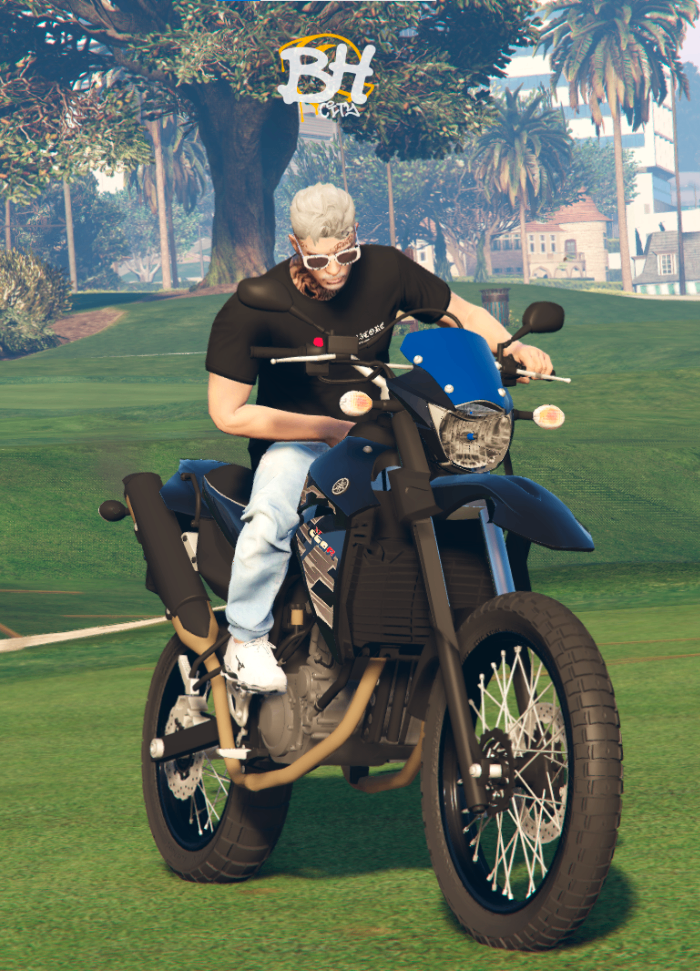 Yamaha XT660R 2015