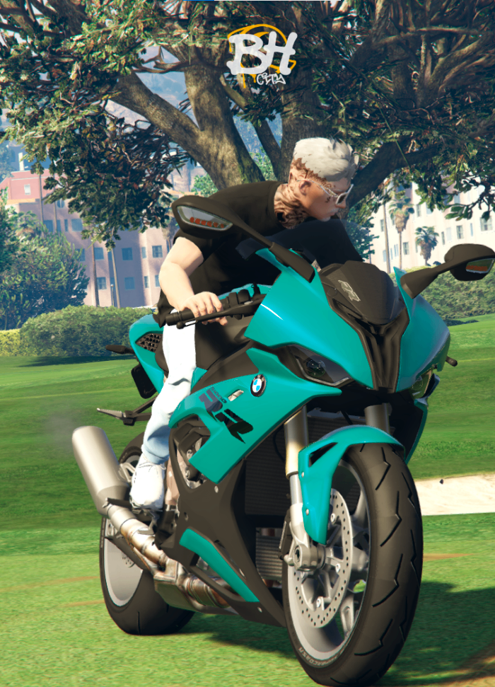 BMW S1000