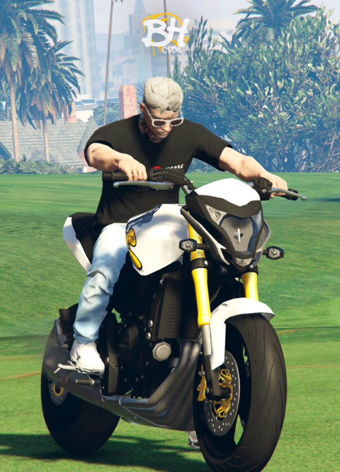 Honda Hornet 2014
