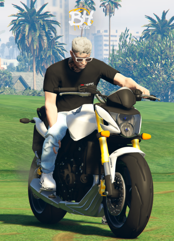 Honda Hornet 2010